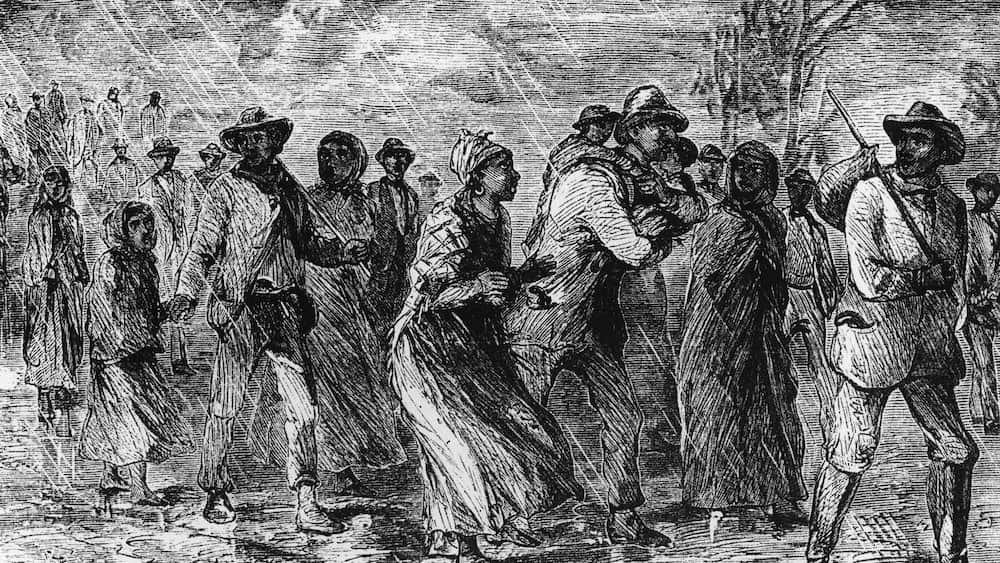 Entrepreneurs of the Underground Railroad: Lessons in Courage, Collaboration, and Change